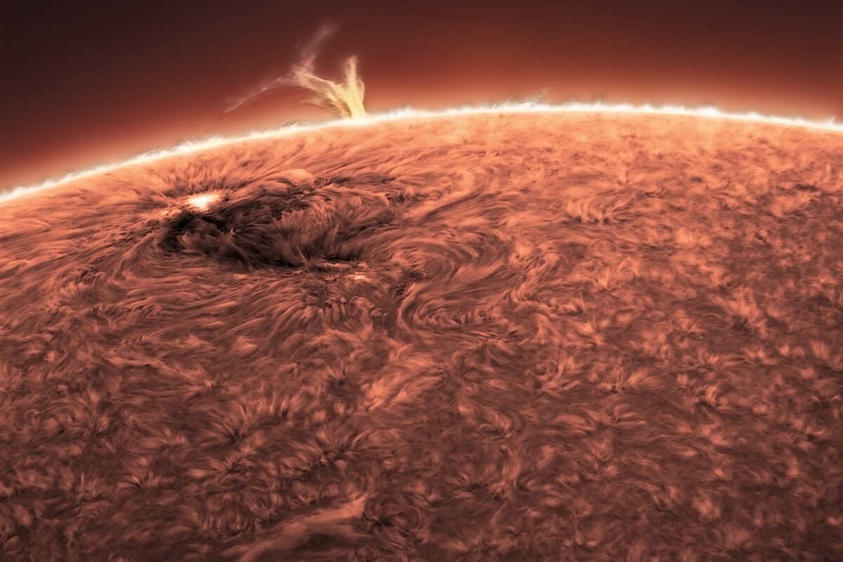 Spectacular stars in the Astronomy Photographer of the Year shortlist